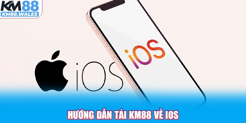 Hướng dẫn tải KM88 về iOS