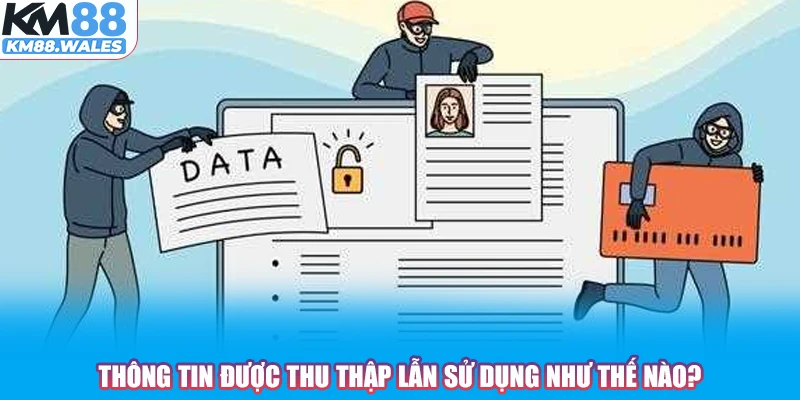 Thông tin được thu thập lẫn sử dụng như thế nào?